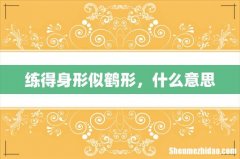 练得身形似鹤形，什么意思