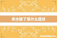 羊水破了是什么症状