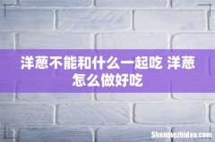 洋葱不能和什么一起吃 洋葱怎么做好吃