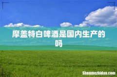 摩盖特白啤酒是国内生产的吗