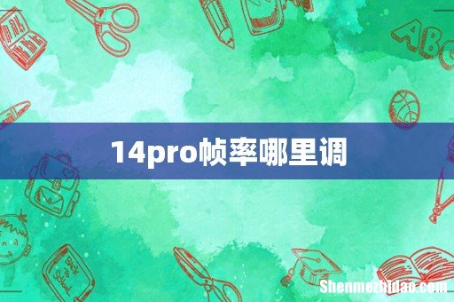 14pro帧率哪里调