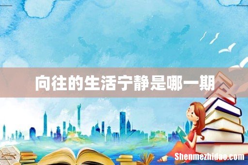 向往的生活宁静是哪一期
