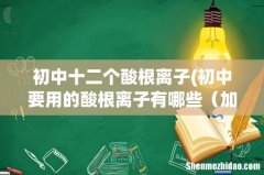初中要用的酸根离子有哪些（加化学符号和化合价] 初中十二个酸根离子