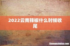 2022云南辣椒什么时候收尾