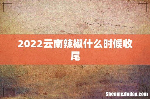 2022云南辣椒什么时候收尾