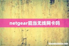netgear能当无线网卡吗
