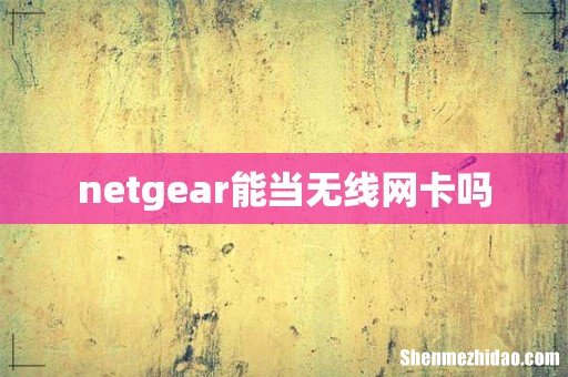 netgear能当无线网卡吗
