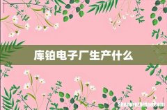 库铂电子厂生产什么