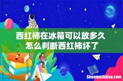 西红柿在冰箱可以放多久 怎么判断西红柿坏了