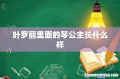 叶罗丽里面的琴公主长什么样