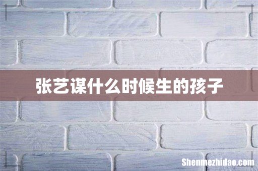 张艺谋什么时候生的孩子