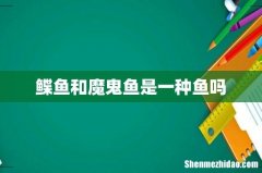 鲽鱼和魔鬼鱼是一种鱼吗