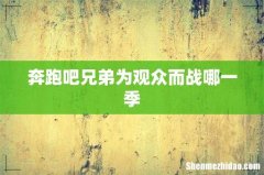奔跑吧兄弟为观众而战哪一季