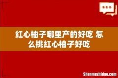 红心柚子哪里产的好吃 怎么挑红心柚子好吃