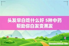 头发早白吃什么好 5种中药帮助你白发变黑发