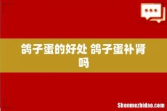 鸽子蛋的好处 鸽子蛋补肾吗