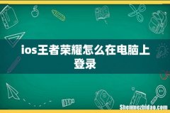 ios王者荣耀怎么在电脑上登录