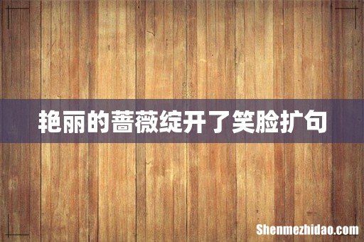艳丽的蔷薇绽开了笑脸扩句