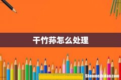 干竹荪怎么处理