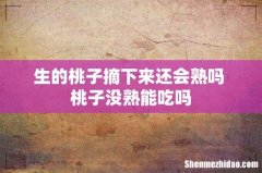 生的桃子摘下来还会熟吗 桃子没熟能吃吗