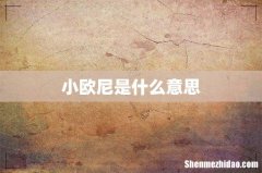 小欧尼是什么意思