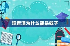 观音泪为什么能杀蚊子