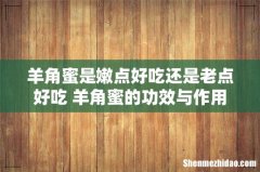 羊角蜜是嫩点好吃还是老点好吃 羊角蜜的功效与作用