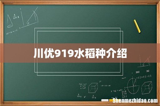 川优919水稻种介绍