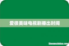 爱很美味电视剧播出时间