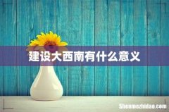 建设大西南有什么意义