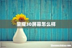 荣耀30屏幕怎么样