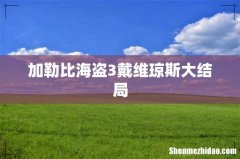 加勒比海盗3戴维琼斯大结局