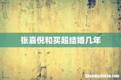 张嘉倪和买超结婚几年