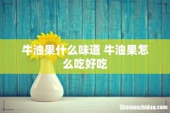 牛油果什么味道 牛油果怎么吃好吃