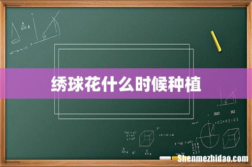 绣球花什么时候种植