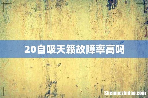 20自吸天籁故障率高吗