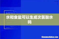 水和食盐可以生成次氯酸水吗
