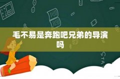 毛不易是奔跑吧兄弟的导演吗