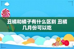 丑橘和橘子有什么区别 丑橘几月份可以吃
