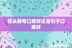 馒头酵母口感好还是引子口感好