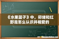 《水果篮子》中，卯绪和红野是怎么认识并相爱的