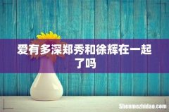 爱有多深郑秀和徐辉在一起了吗