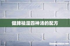 健脾祛湿四神汤的配方