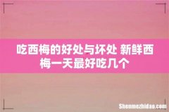 吃西梅的好处与坏处 新鲜西梅一天最好吃几个
