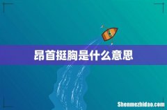 昂首挺胸是什么意思