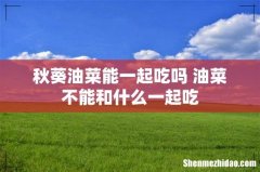 秋葵油菜能一起吃吗 油菜不能和什么一起吃
