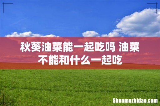 秋葵油菜能一起吃吗 油菜不能和什么一起吃