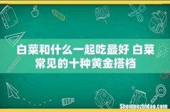 白菜和什么一起吃最好 白菜常见的十种黄金搭档