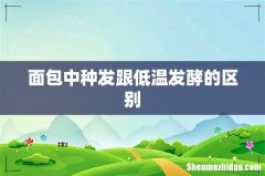 面包中种发跟低温发酵的区别