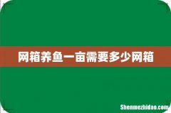 网箱养鱼一亩需要多少网箱